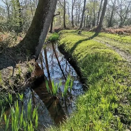 Casa vacanze Maison Des Fleurs D'ajoncs