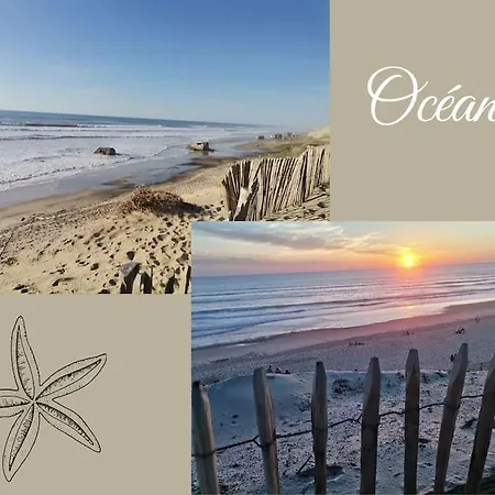 Maison Des Fleurs D'ajoncs * Naujac-sur-Mer