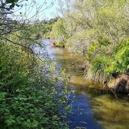 Casa vacanze Maison Des Fleurs D'ajoncs *