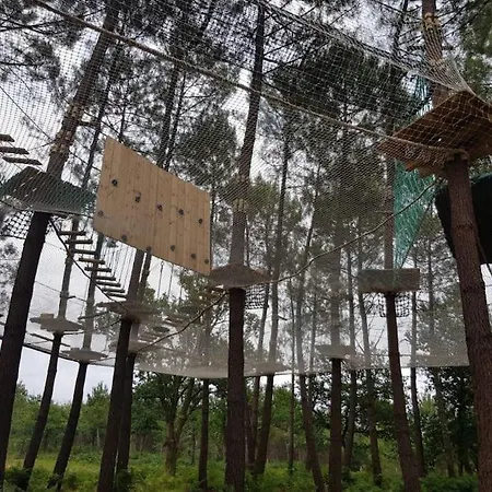 Maison Des Fleurs D'ajoncs Casa vacanze *