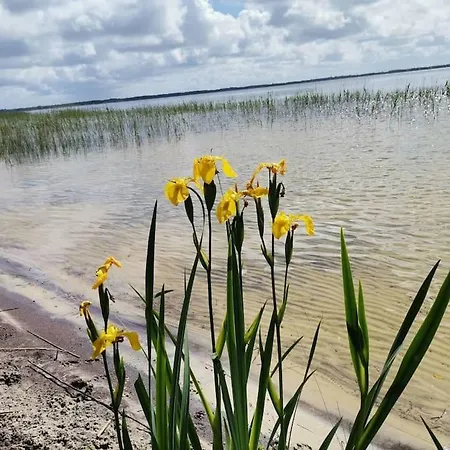 Maison Des Fleurs D'ajoncs
