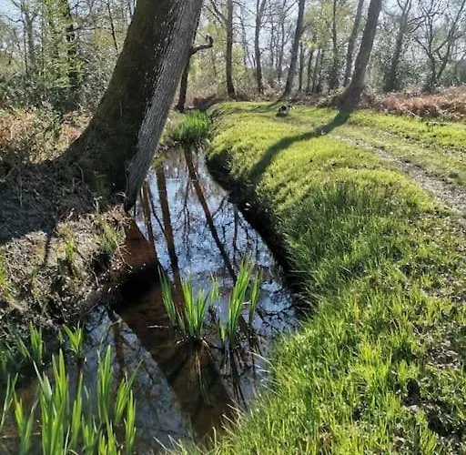 بيت للعطل Maison Des Fleurs D'ajoncs