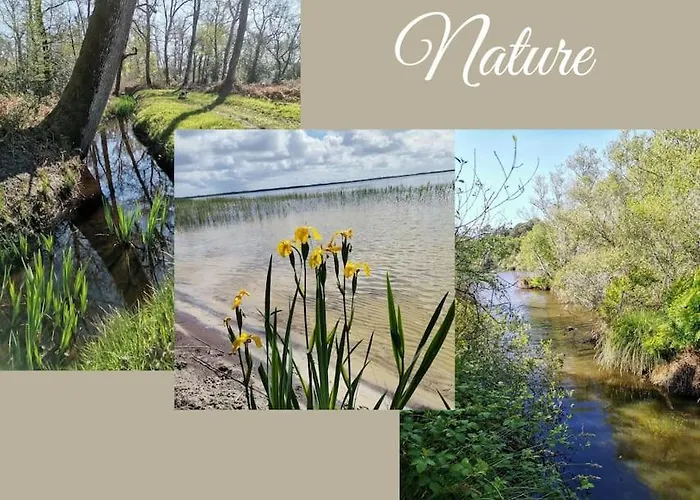 Maison Des Fleurs D'ajoncs
