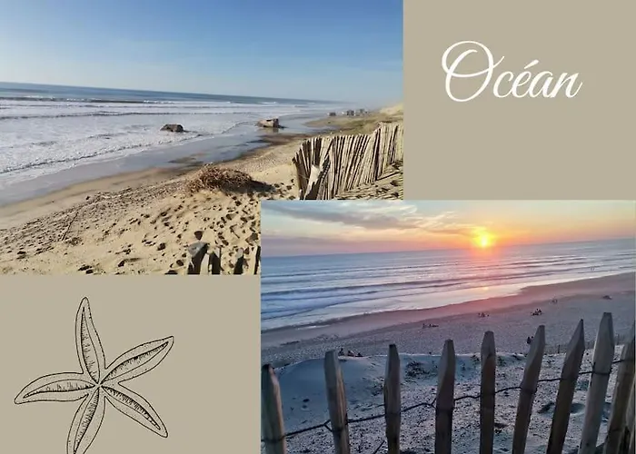 Maison Des Fleurs D'ajoncs * Naujac-sur-Mer