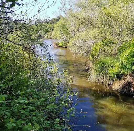 بيت للعطل Maison Des Fleurs D'ajoncs *