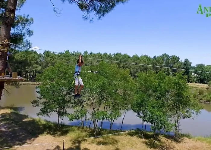بيت للعطل Maison Des Fleurs D'ajoncs Naujac-sur-Mer